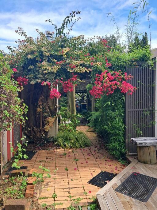 Secret Cottage Waitara Exteriér fotografie