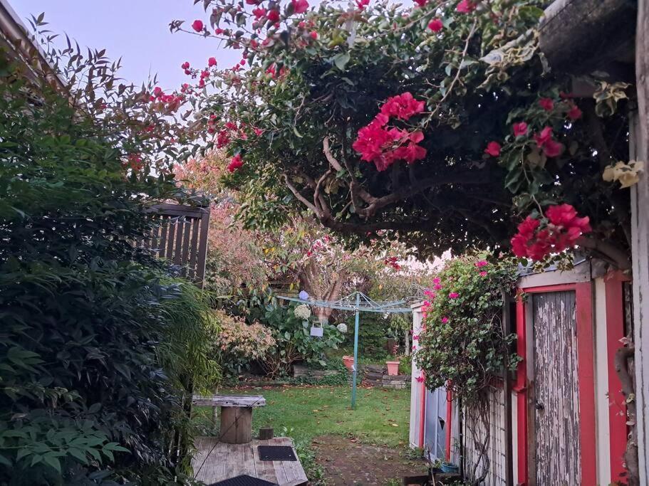 Secret Cottage Waitara Exteriér fotografie