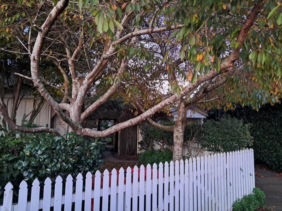 Secret Cottage Waitara Exteriér fotografie